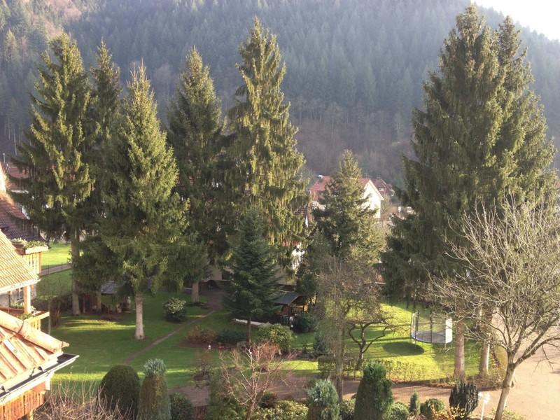 Hotel Garni Café Schacher Oberwolfach Exterior foto